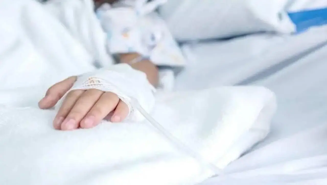 Confirman muerte por rabia humana y se investigan contactos para tratamiento preventivo