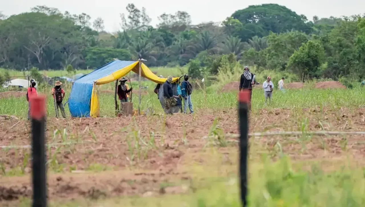 “Hay una lista de más de 100 predios avasallados”, señala abogado y anuncia que “en las próximas horas” se iniciarán los desalojos