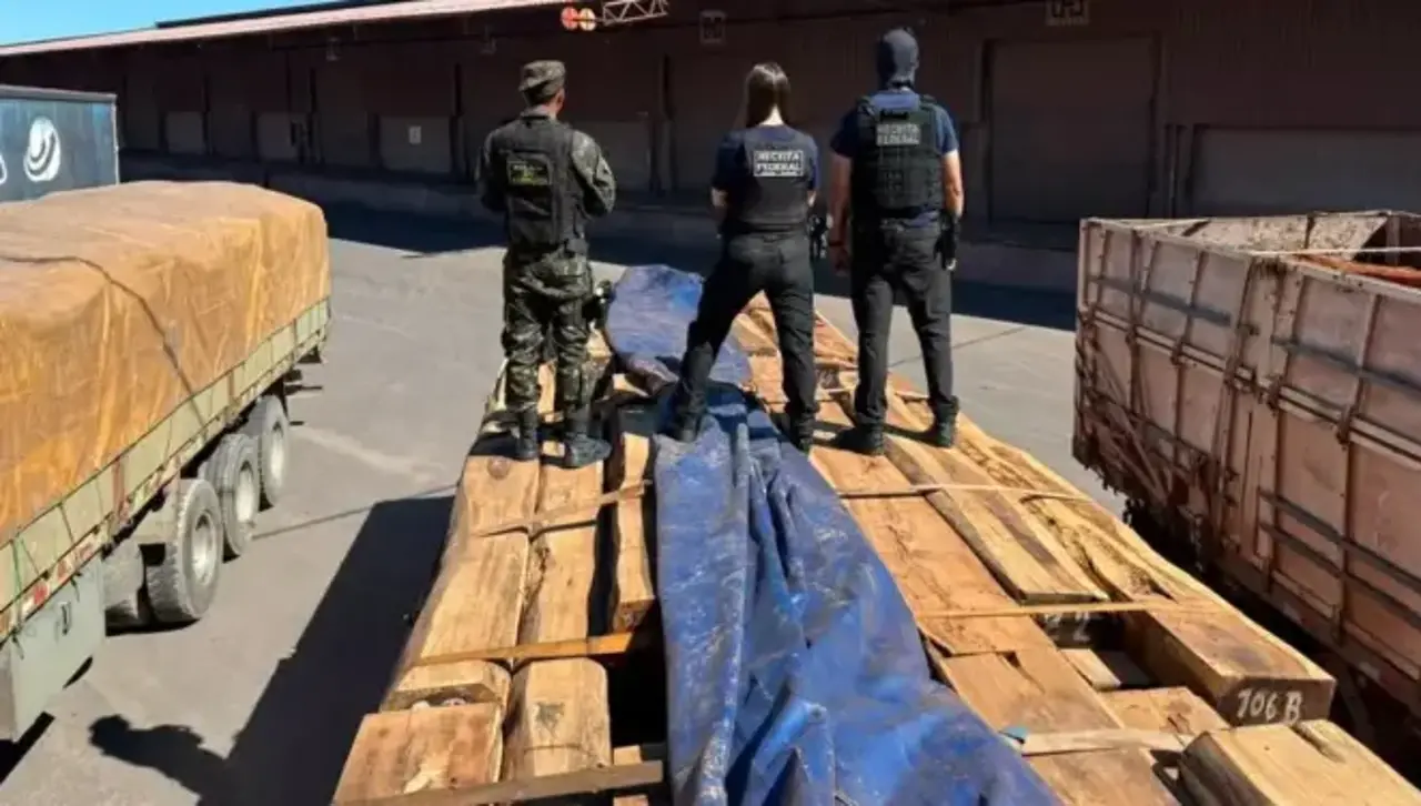 ¿Cómo fue impregnada la droga en madera incautada en Brasil? Una investigación brinda detalles