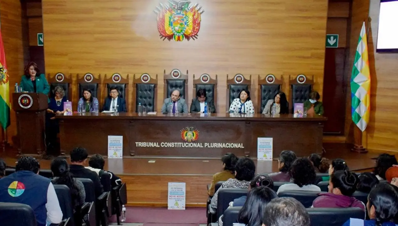 Sentencia constitucional impide postular para un tercer mandato en el mismo cargo, recuerda vocal del TED de Santa Cruz