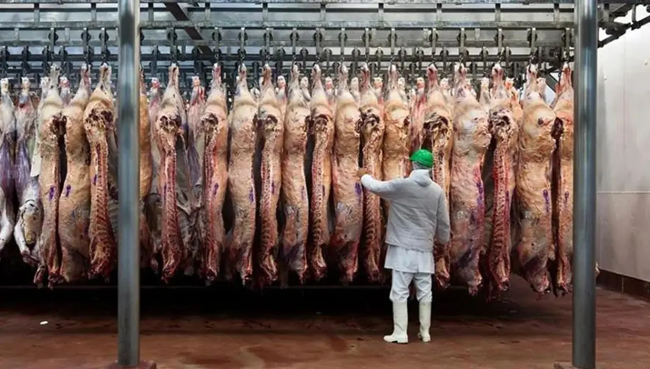 Agropecuarios destacan la apertura del mercado egipcio y señalan que otros países también demandan la carne boliviana