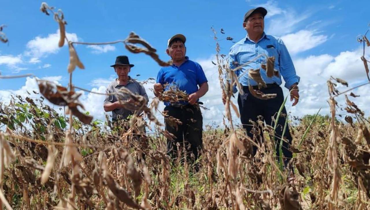 Gobierno reporta pérdida del 40% de la producción agrícola en tres municipios de Santa Cruz a causa de la sequía
