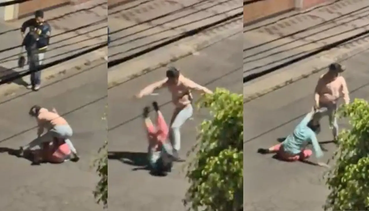Imágenes sensibles: así fue agredida una mujer que reclamó a sus vecinos por el volumen de la música