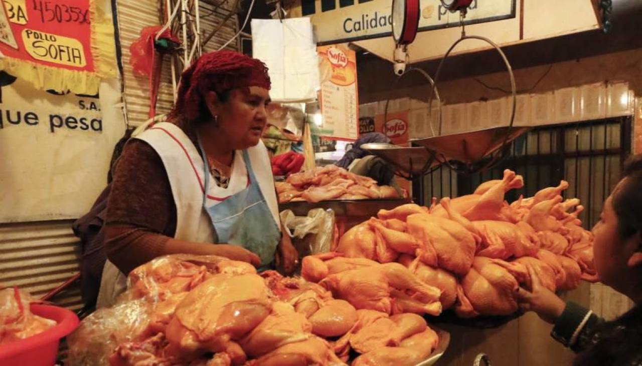 Avicultores advierten que “recortes” en la provisión de soya, falta de dólares e insumos afectan el precio del pollo