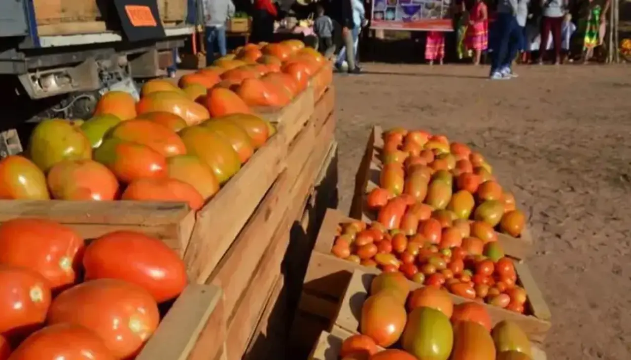 “Regalaré mis productos, no me queda otra”: Productores denuncian ‘asfixia’ por bloqueos