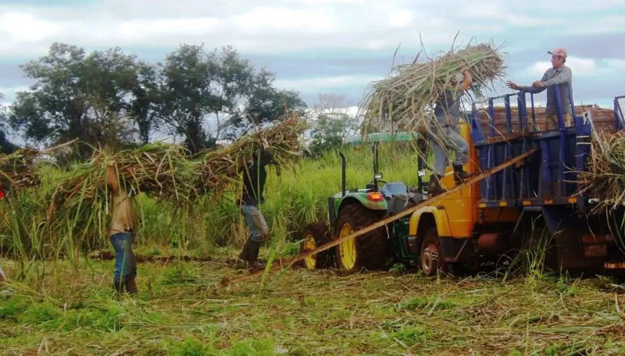 Falta de diésel: CAO alerta “deterioro” en las cadenas productivas; Desarrollo Rural e Hidrocarburos buscan soluciones