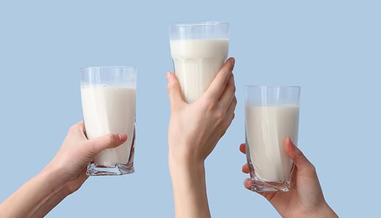 Leche de calidad: ¿Por qué la homogeneización y la ultrapasteurización son claves para una alimentación confiable?