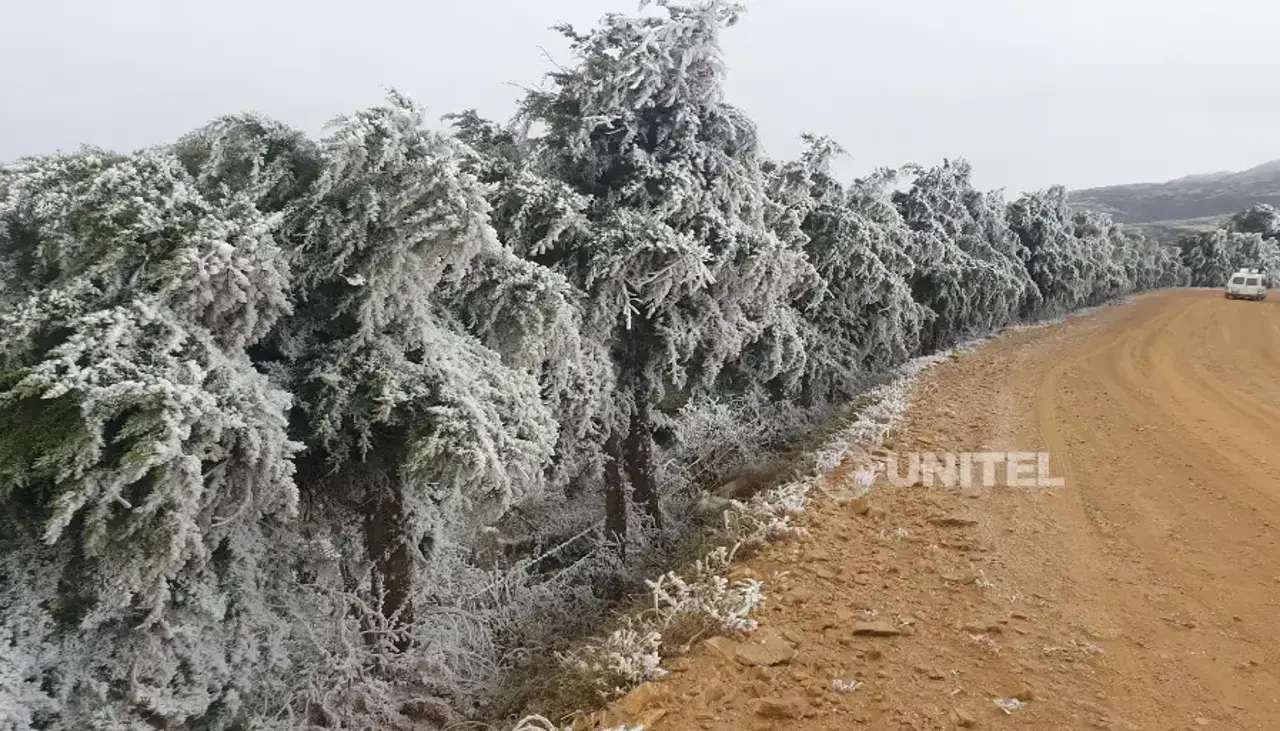 Tome previsiones: Estas son las zonas que registrarán heladas en el país