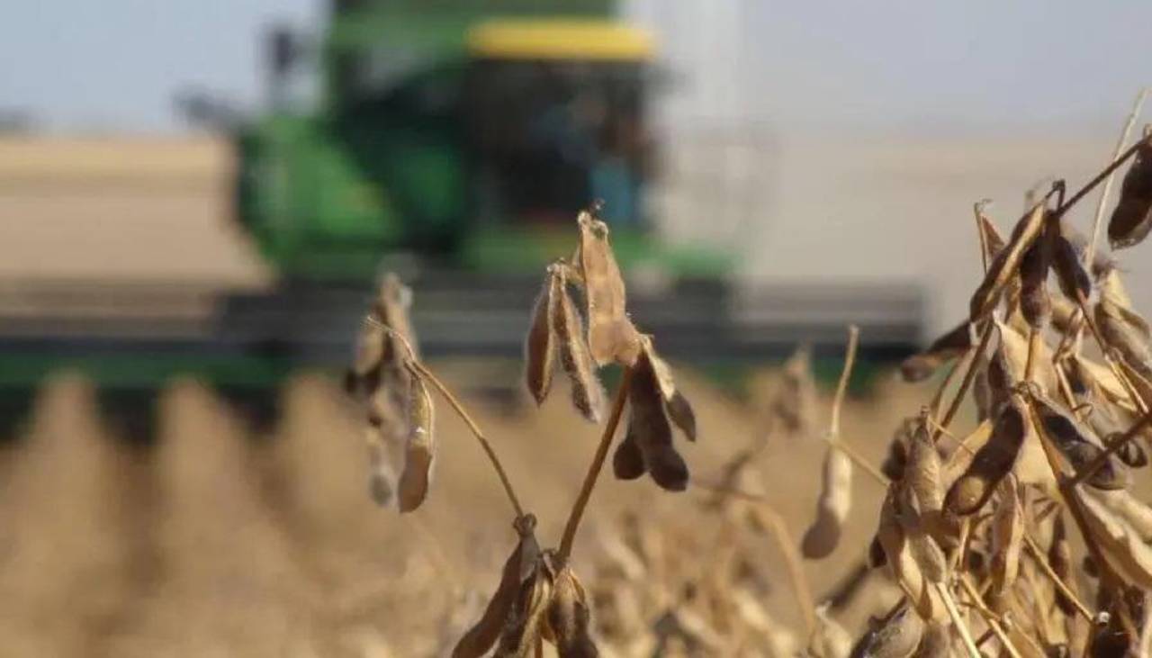 CAO: Se enfrenta una cosecha con precios elevados de insumos y tener irregularidad de suministro de diésel sería “catastrófico”