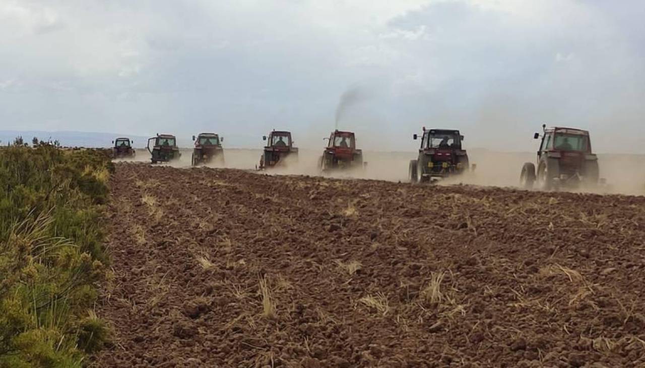 Solo el 5% de los productores agropecuarios puede comprar el diésel con el precio referencial de $us 1,24 por litro, dice la CAO