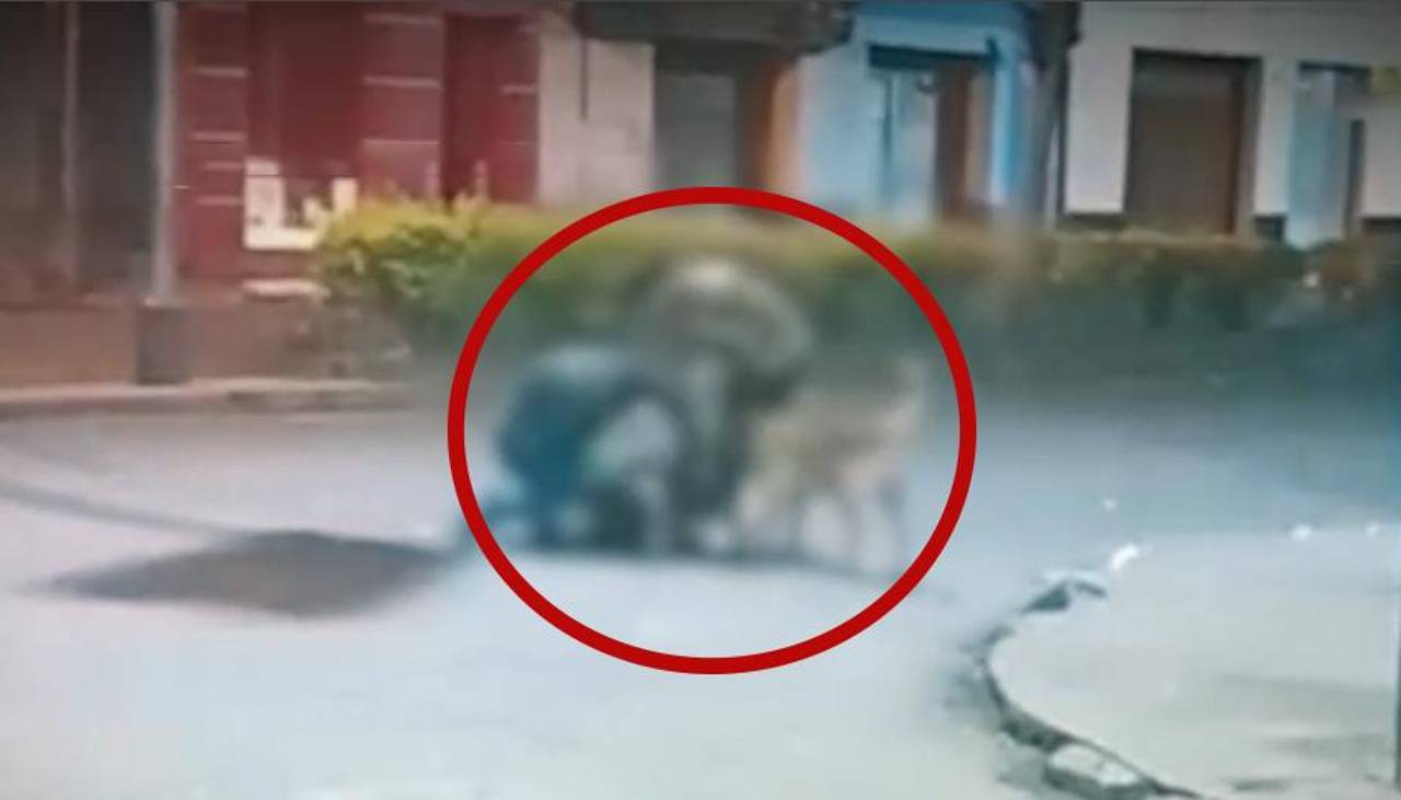 Video: Antisociales acorralan, lanzan al piso y golpean a un joven para robarle sus pertenencias