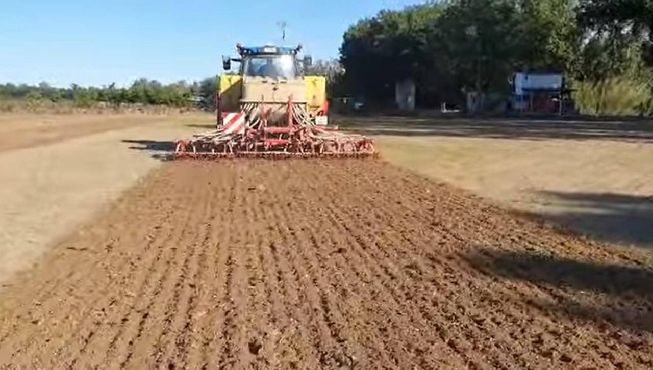 Ante la falta de diésel, solo el 20% de los productores de arroz iniciaron siembra