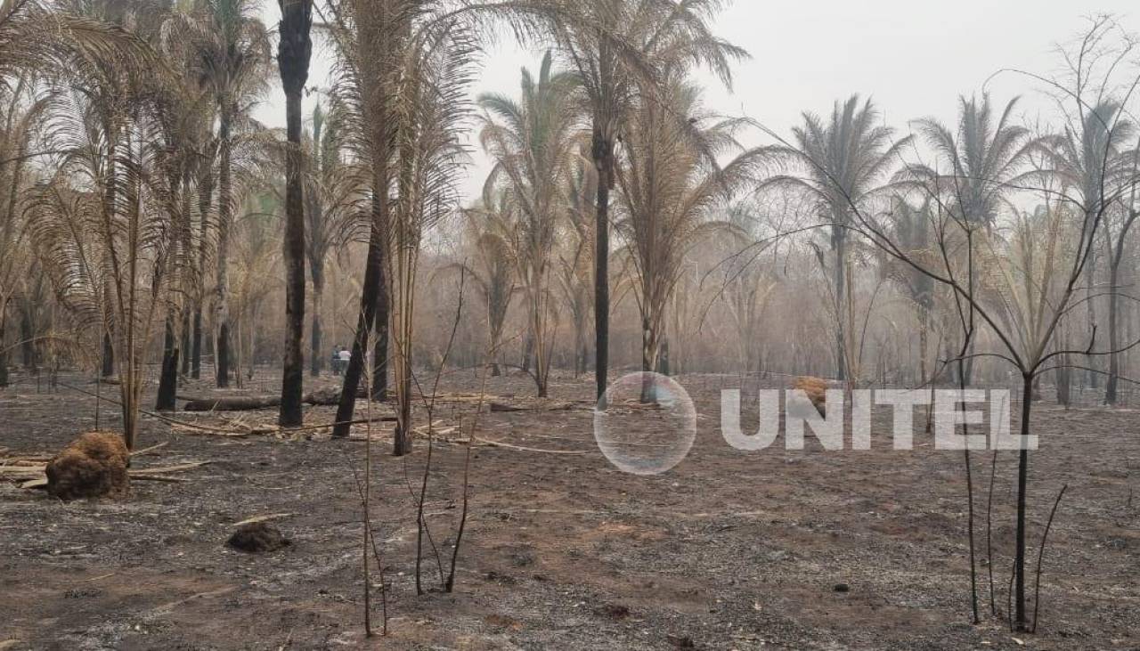 Incendios alcanzan a cinco departamentos y son casi 4 millones de hectáreas afectadas por el fuego