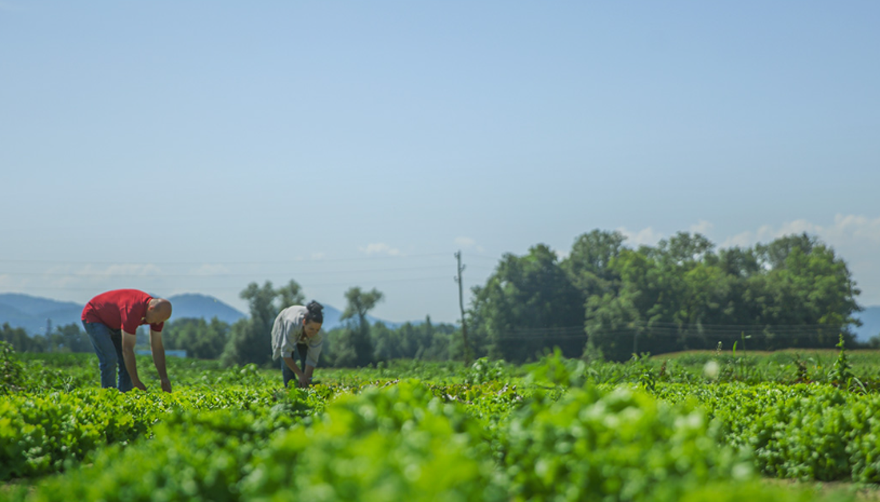 Abrogación de Ley 1720 afectará a pequeños productores y campesinos, dice Federación de Empresarios cruceños