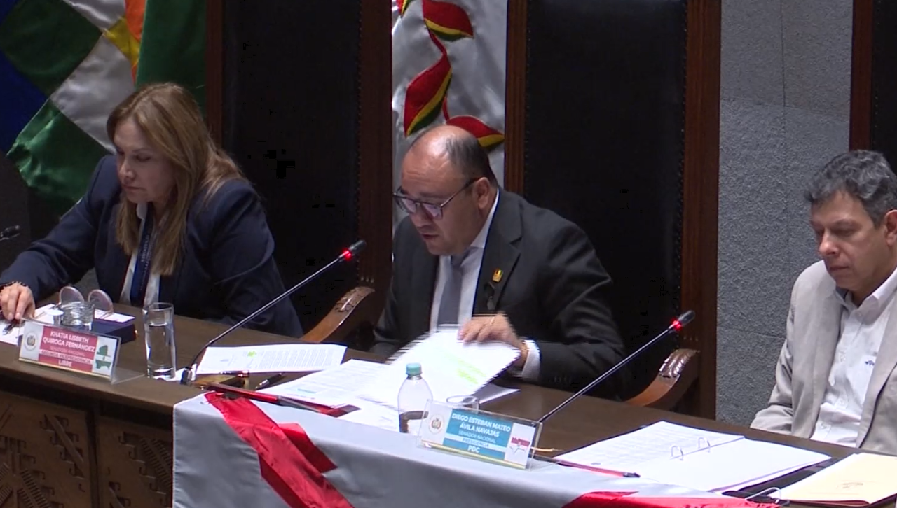 Presidente del TSE brinda informe ante el Senado sobre la declinación de NGP al balotaje en La Paz
