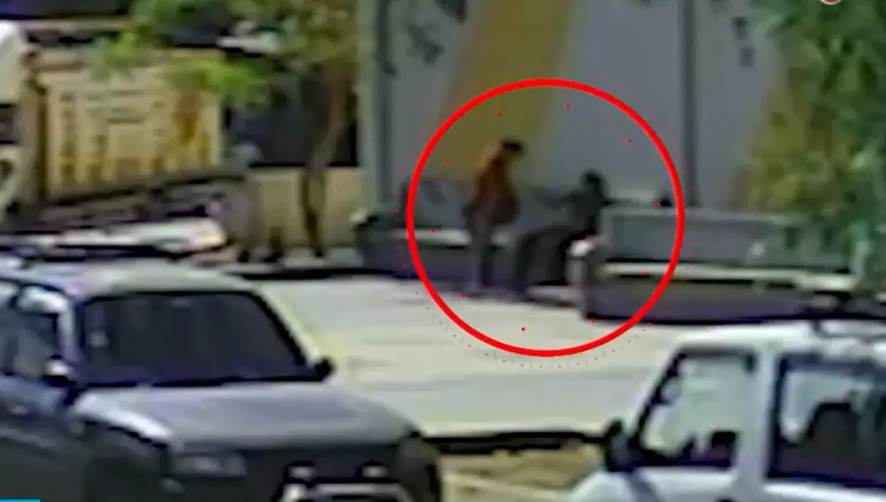 Buscan a la mujer que apuñaló a su pareja y huyó llevándose el arma con la que lo atacó