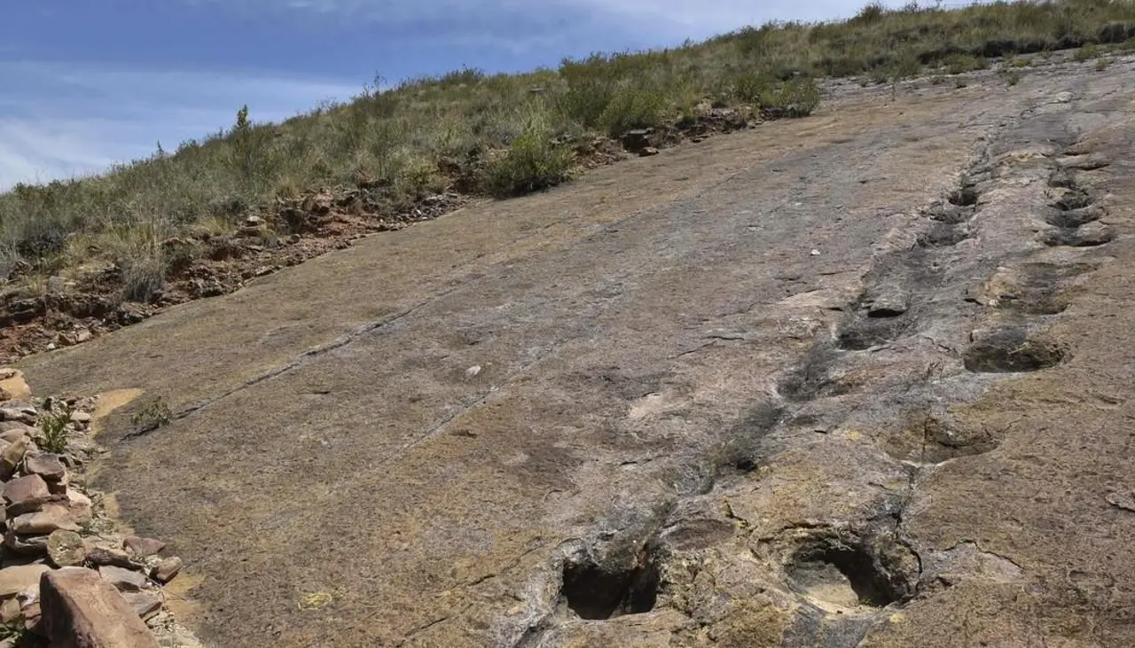 ¡Histórico! Descubren en Bolivia el yacimiento de huellas y rastros de cola de dinosaurios más grande del mundo
