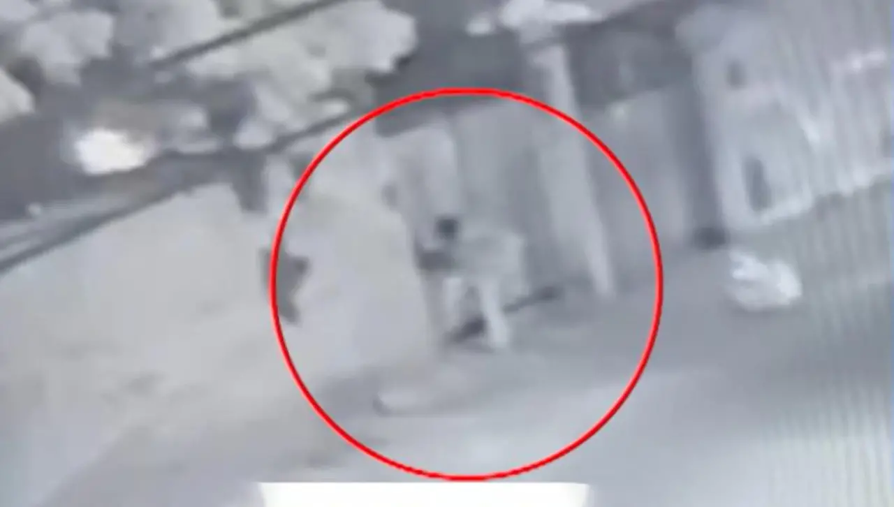 ¡Indignante! Hombre pisa la cabeza de una perrita que se asomaba por debajo de la puerta de una casa 