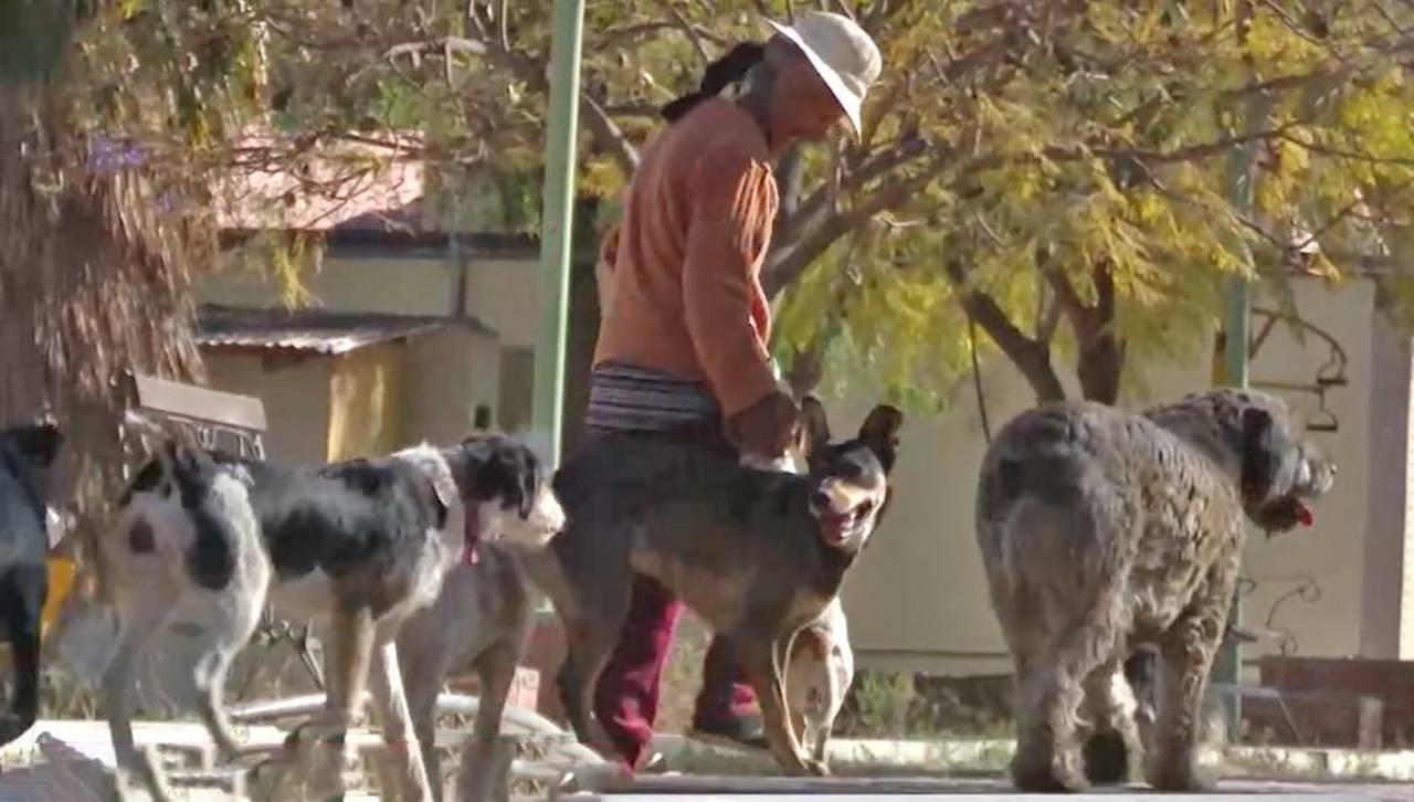 Natalia cuida animales rescatados, los vacuna y alimenta con ingresos que consigue vendiendo dulces y juguetes en la calle