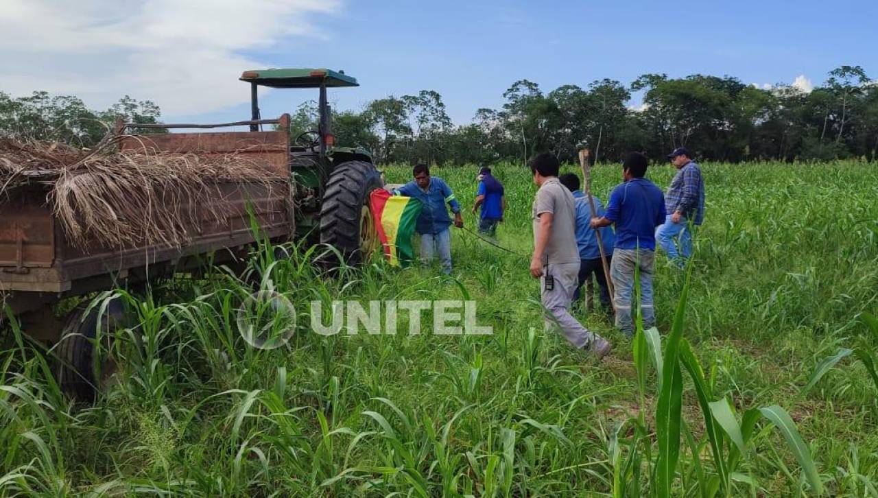 Avasallamientos: Ejecutan desalojo en Santa Rita y tumban 22 chozas que habían sido instaladas