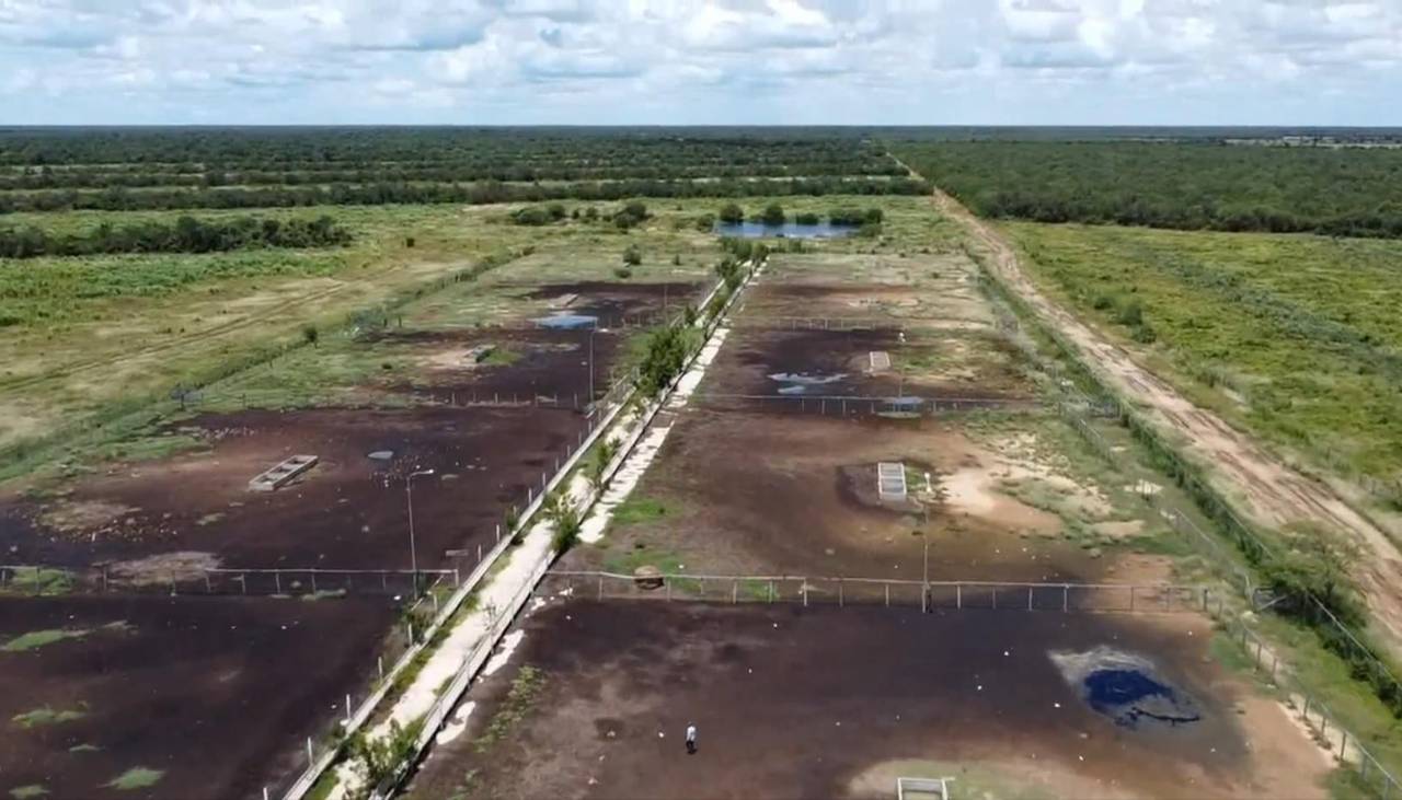 Ganaderos: “Como (el Gobierno) no produce en el centro confinamiento estatal, no saben cuánto cuesta”