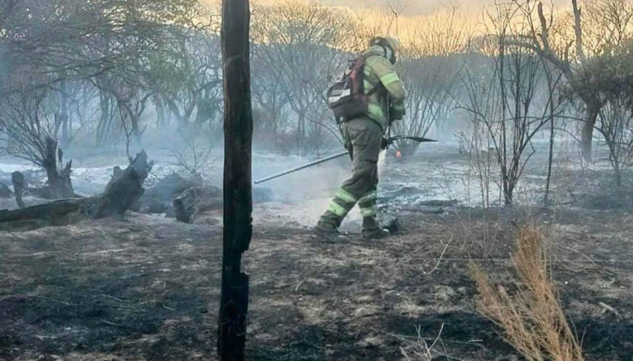 Cochabamba: Incendios forestales se disparan en cerca del 180% en comparación con el 2025