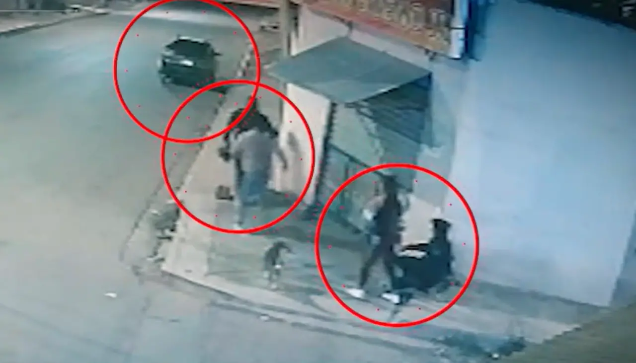 Video: Dos delincuentes atracaron a una pareja en el barrio Alto Buena Vista