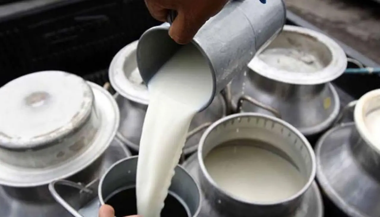 Fedeple plantea que el precio de la leche se defina por la oferta y la demanda; esperan reunión con ministros