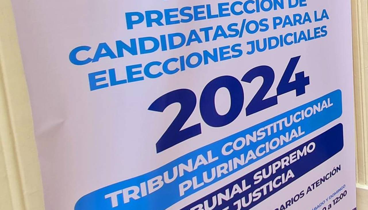 Judiciales paralizadas: “Los únicos beneficiados son el Gobierno y los autoprorrogados”, señala analista Peña