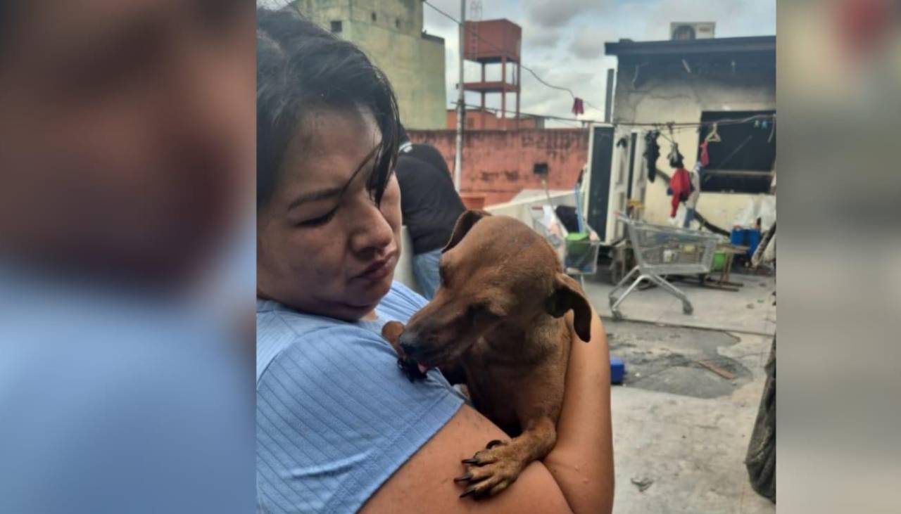 Un milagro: Hallan viva a una perrita un día después del incendio que devoró una importadora en Los Pozos