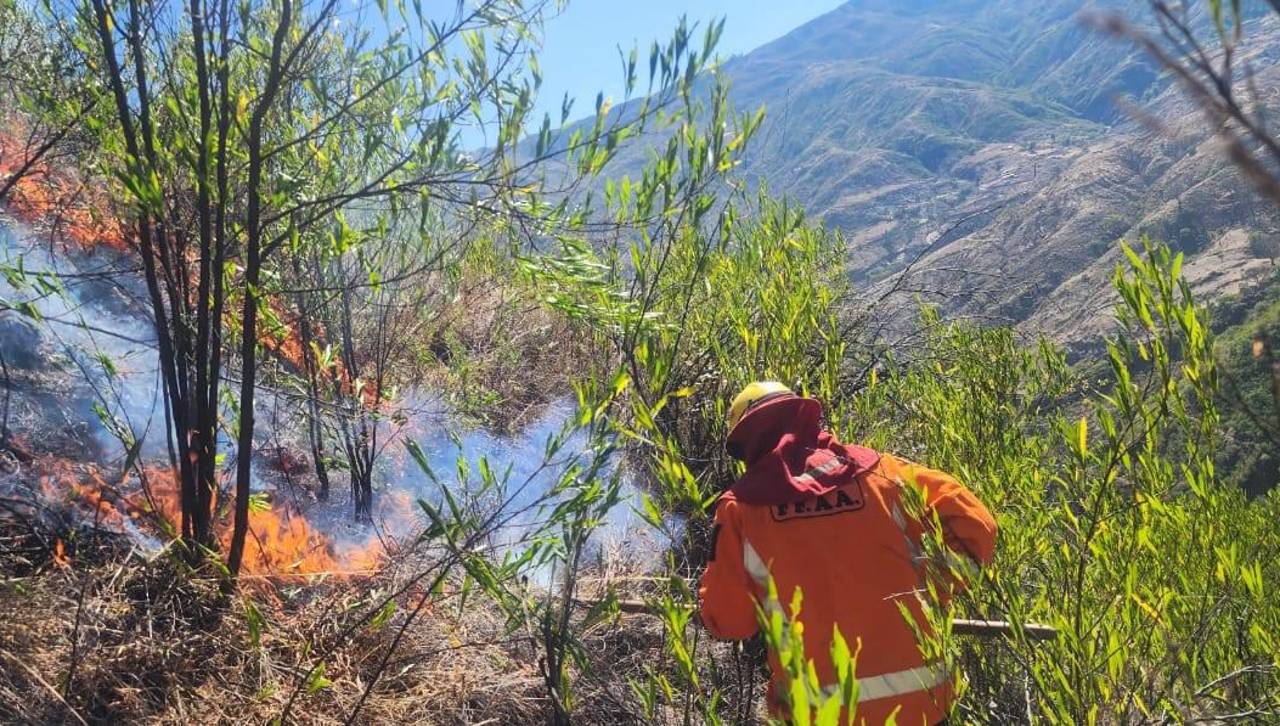 Incendios forestales: Gobierno activa alerta roja en cuatro municipios y alerta naranja en 80 municipios 