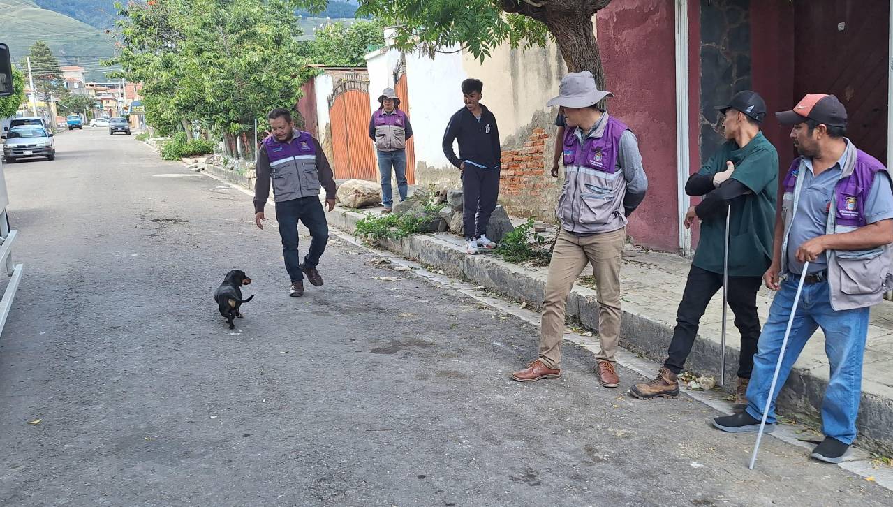 Intervienen refugio clandestino y rescatan a ocho perros, uno de ellos con una condición crítica en su piel