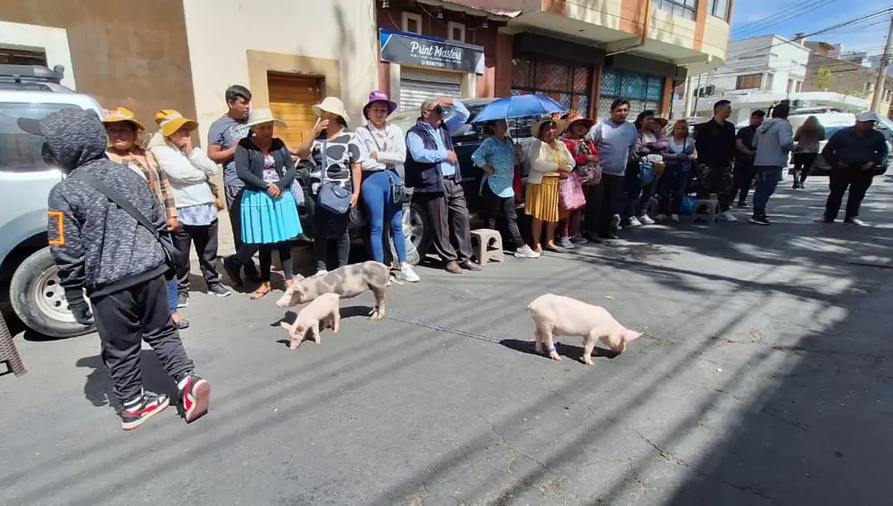 Porcinocultores de Cochabamba protestaron en puertas de Emapa exigiendo alimento subvencionado