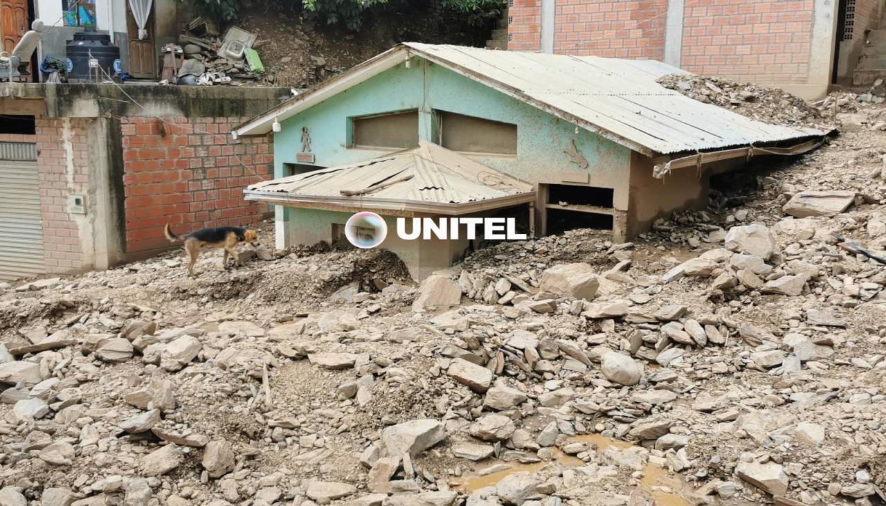 La Paz: Más de 20 viviendas se llenaron de agua y lodo tras una mazamorra en una comunidad de los Yungas