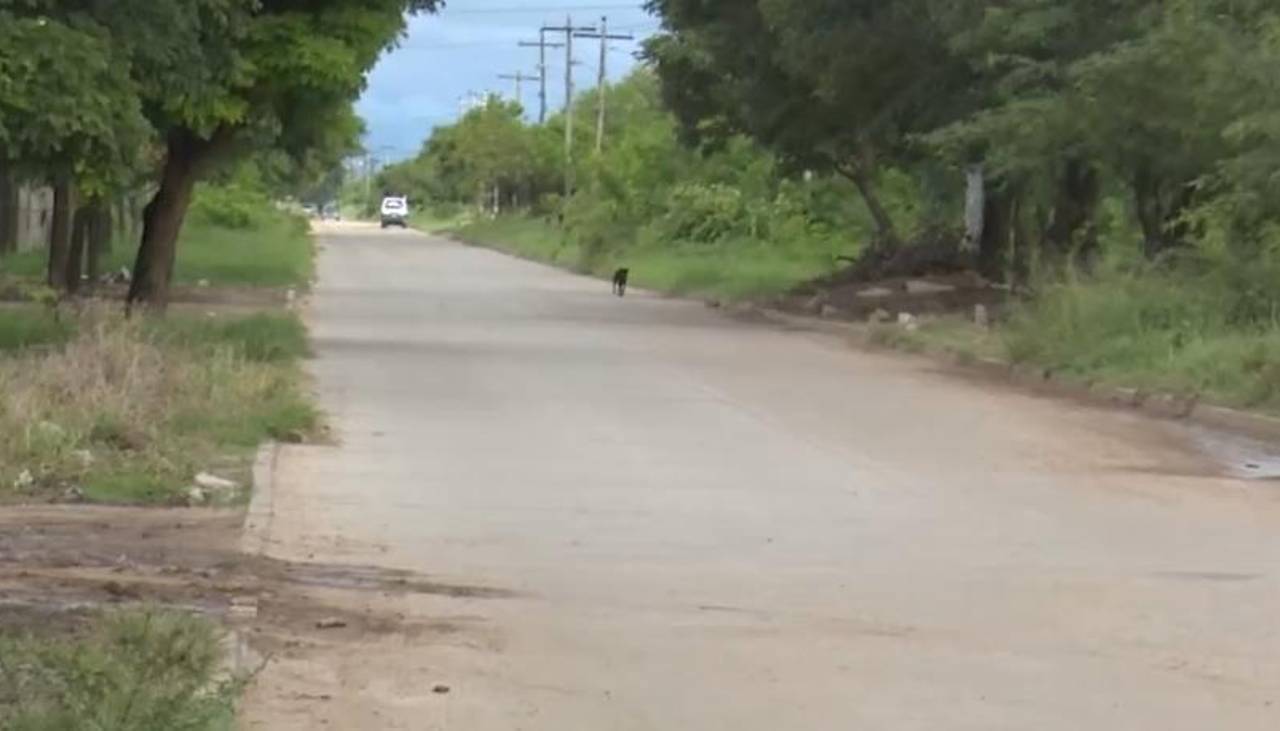 Piden suspender la licencia del micrero que atropelló y causó la muerte de una adolescente en el Plan Tres Mil