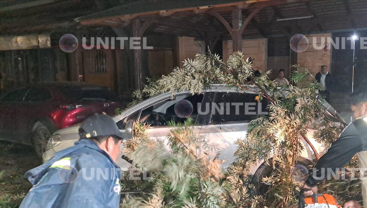 Vientos derriban al menos 17 árboles, dos letreros y ramas en la ciudad de Cochabamba