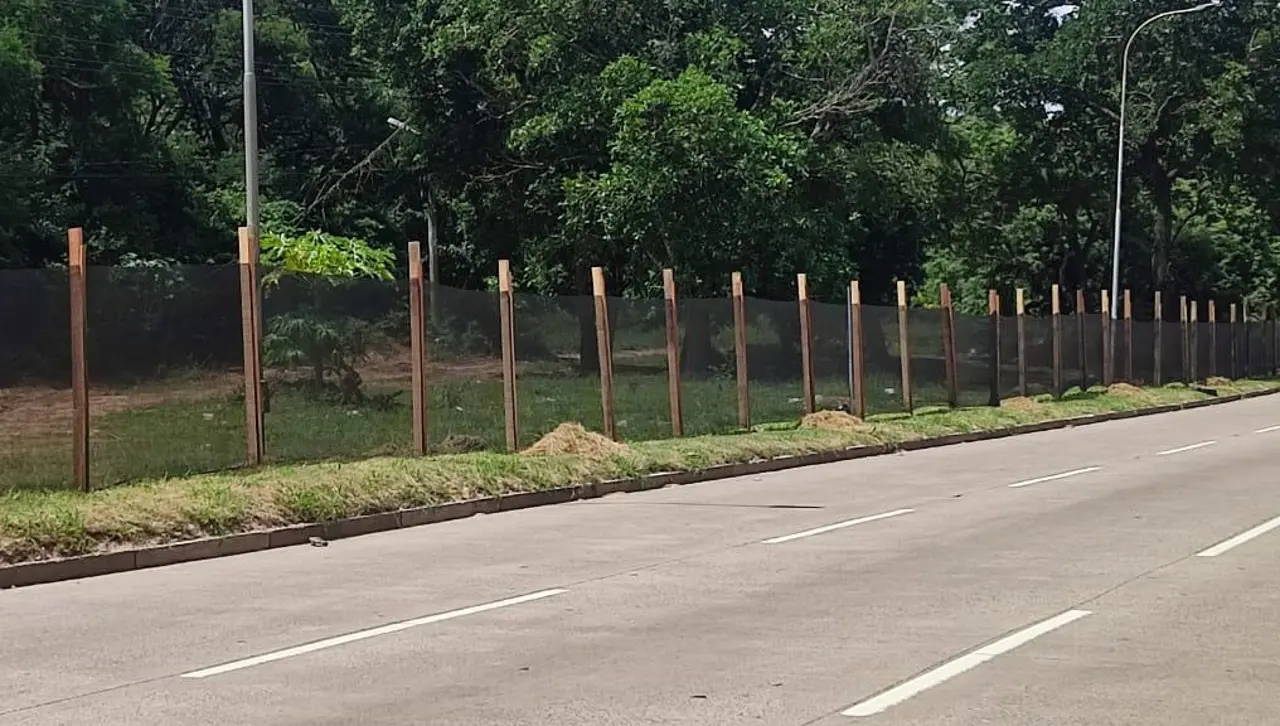 ¿Por qué está enmallado el cordón ecológico? Esto respondió el alcalde