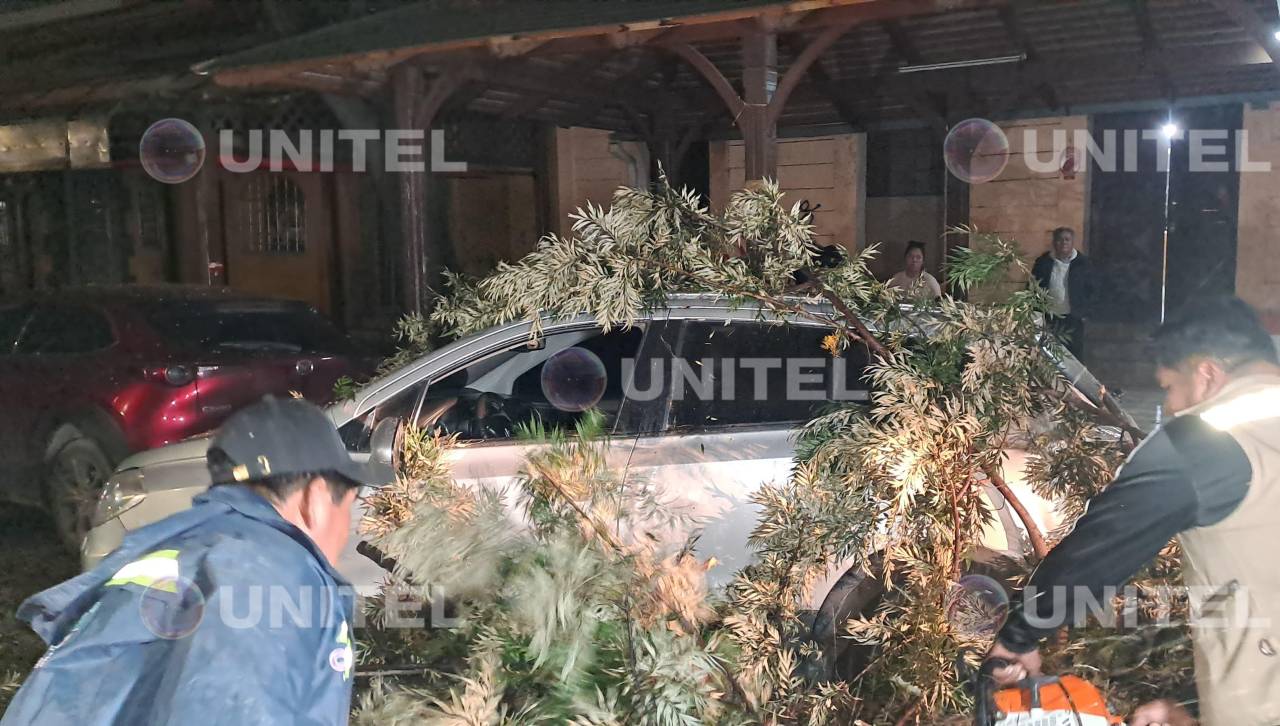 Vientos derriban al menos 17 árboles, dos letreros y ramas en la ciudad de Cochabamba