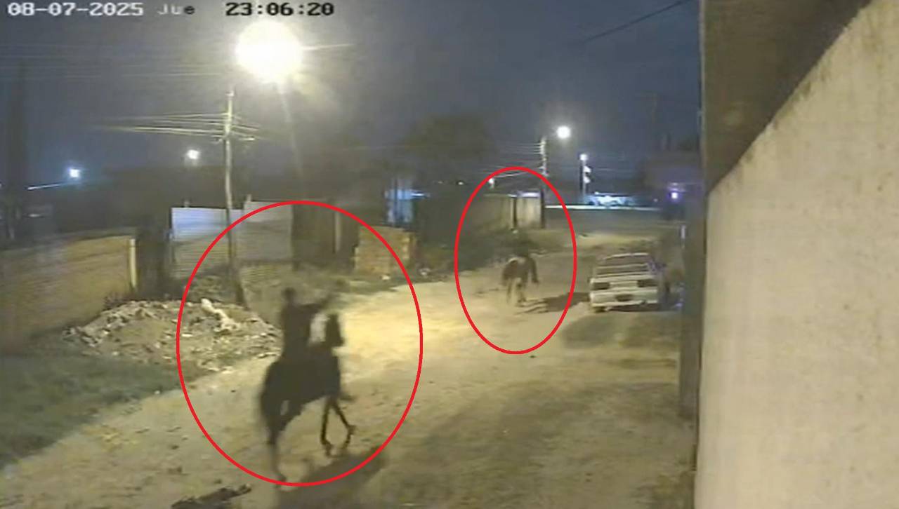 Video: Delincuentes se roban tres caballos y huyen cabalgando en los animales