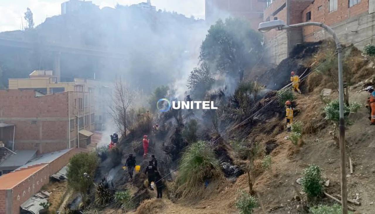 La Paz: Incendio forestal estuvo a punto de afectar viviendas en Huanuhuanuni