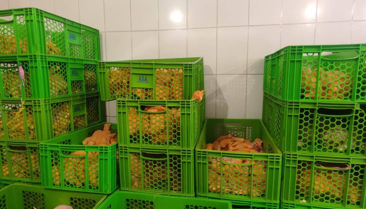 Por incremento en el precio del alimento, baja la distribución de pollo en mercados de La Paz y El Alto 