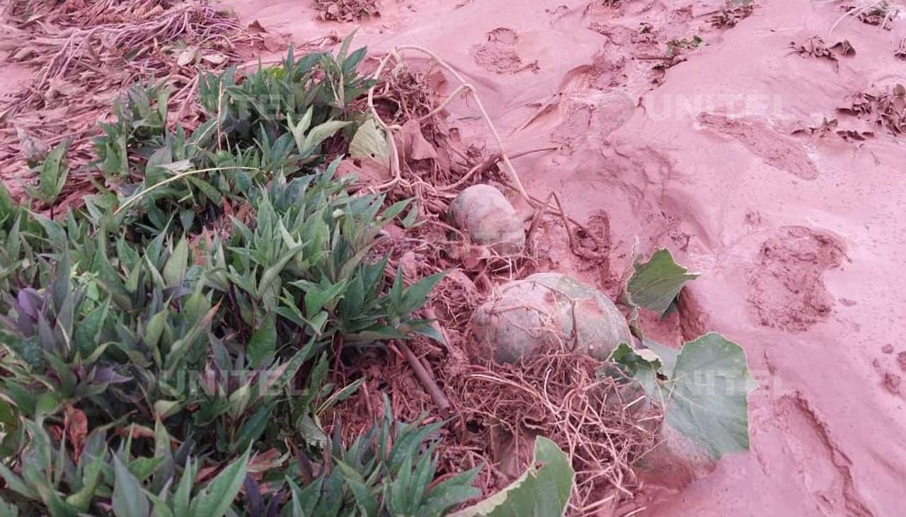 Cochabamba: Alrededor de una hectárea de cultivos quedó sepultada bajo lodo en Viloma Grande