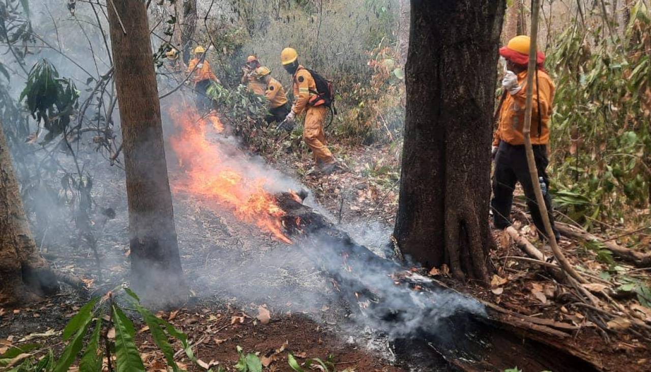 Opositores y evistas exigen al Gobierno declarar desastre nacional por incendios