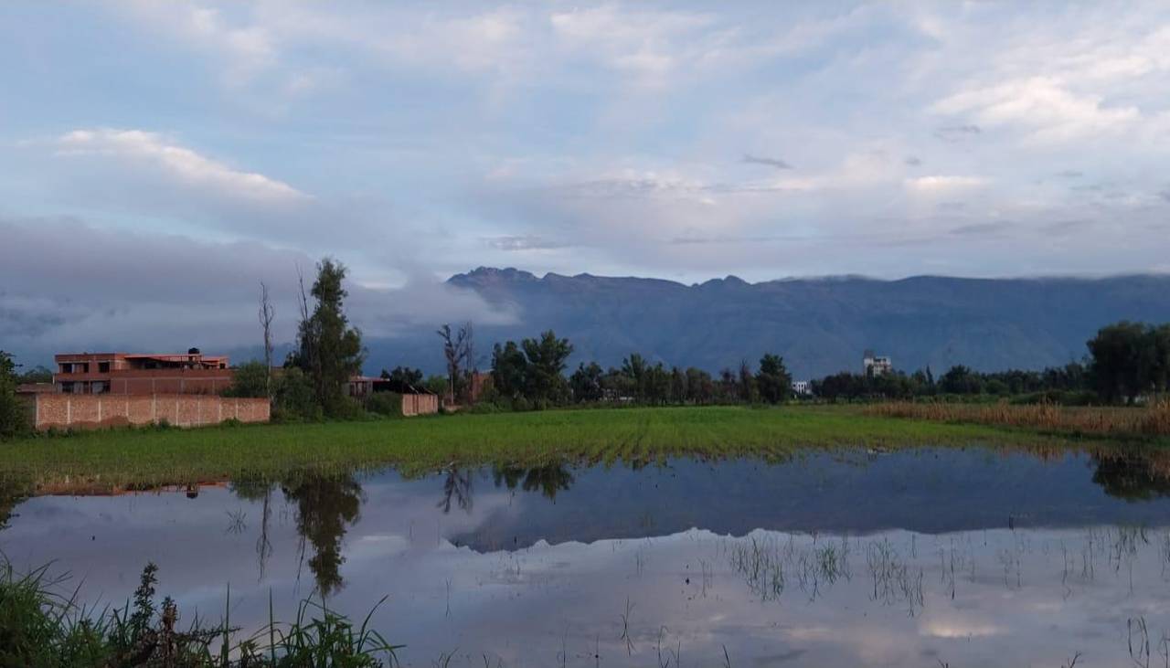 Intensas lluvias también inundaron cultivos en Quillacollo, productores se ven afectados