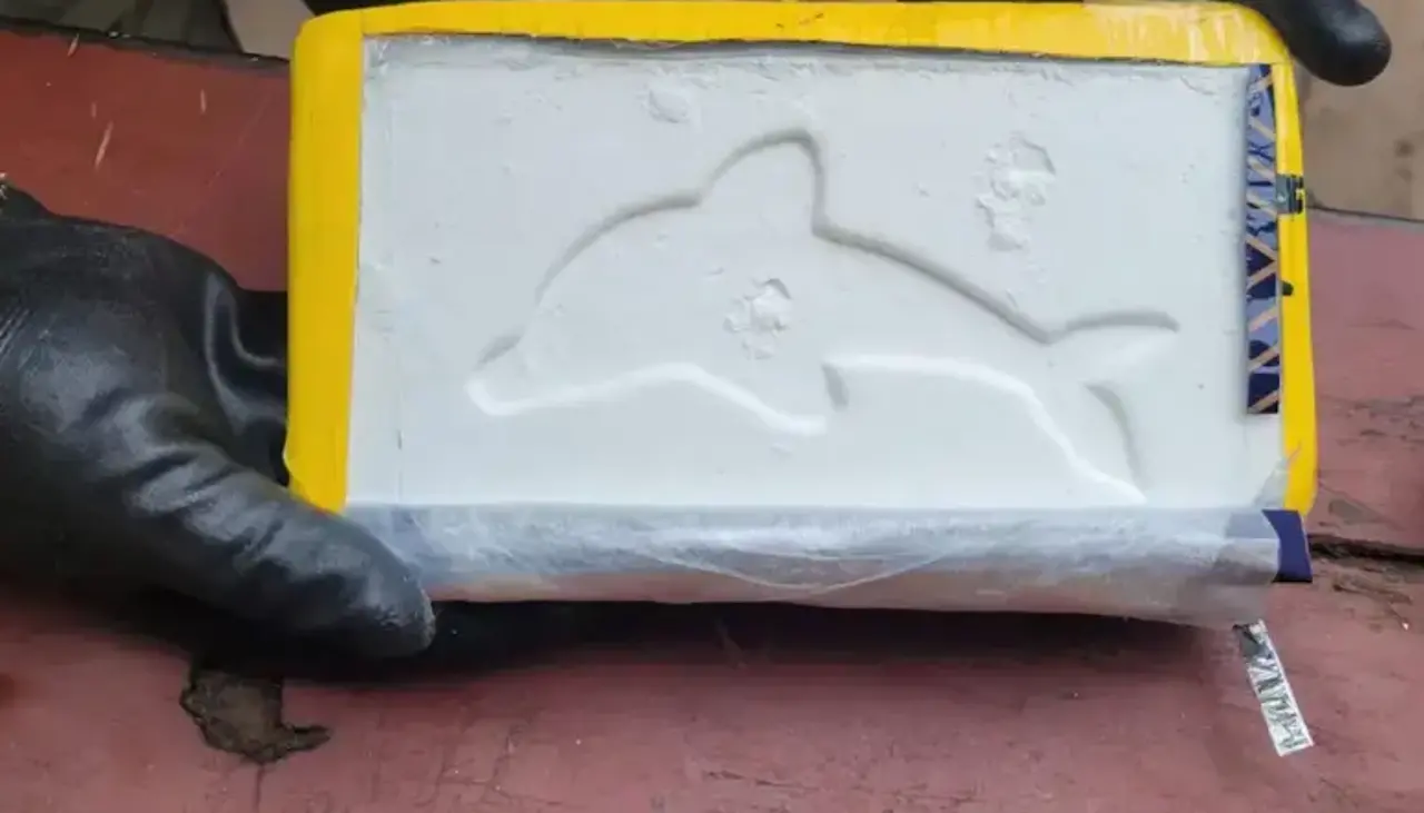 Aprehenden en Argentina a un boliviano que viajaba con más de 10 kilos de droga