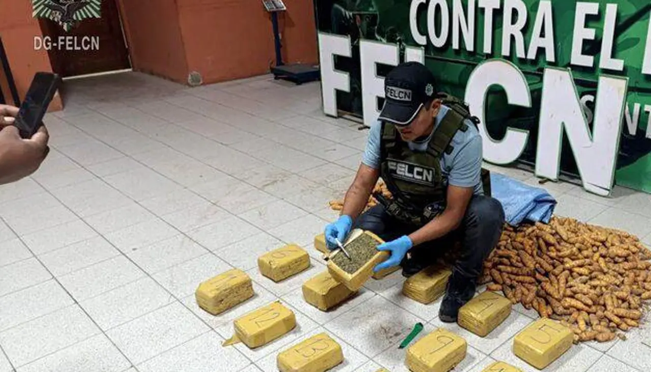 Descubren marihuana camuflada en encomienda en la Terminal Bimodal de Santa Cruz