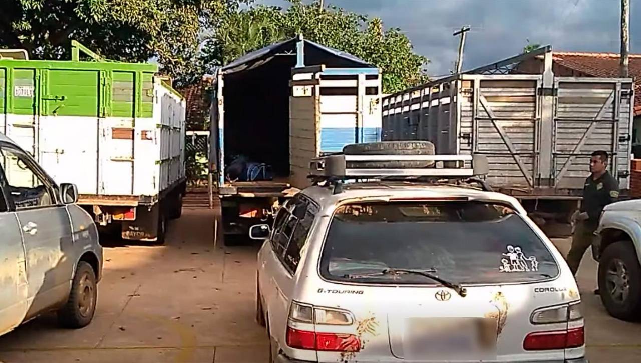 Avasallamiento en menonitas en San Ignacio: hay 61 aprehendidos y 12 vehículos detenidos