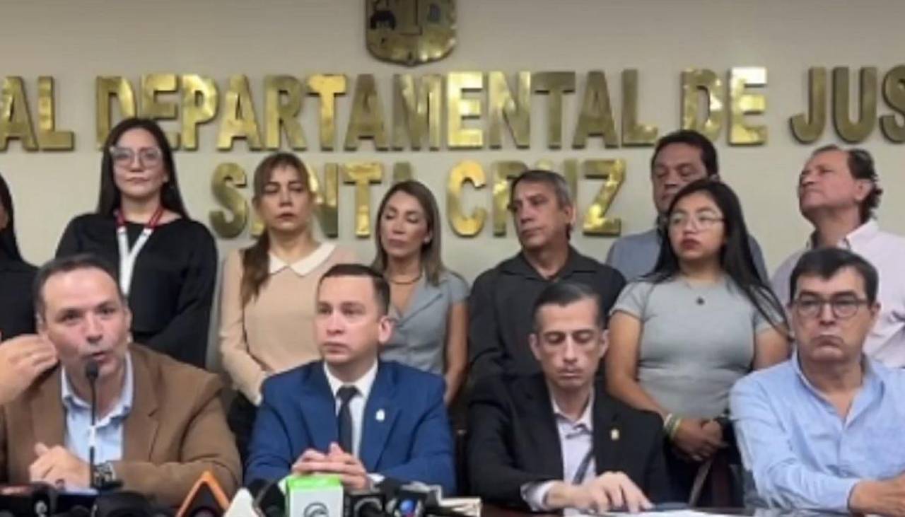 TSJ dice que en declaratoria de herederos de Crapuzzi de 1989 no se menciona al predio del Mutualista