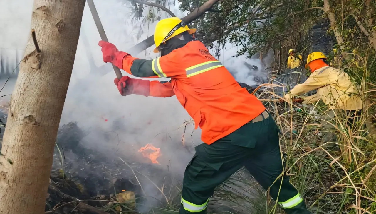 “No hay necesidad”: Gobierno no pedirá ayuda internacional para enfrentar incendios forestales
