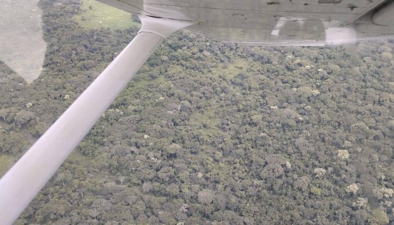 “Trabajaremos hasta rescatar a sus tripulantes”: Arce ordena operativo para hallar la avioneta perdida en Beni